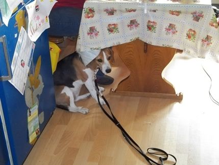 Gretchens Abtransport