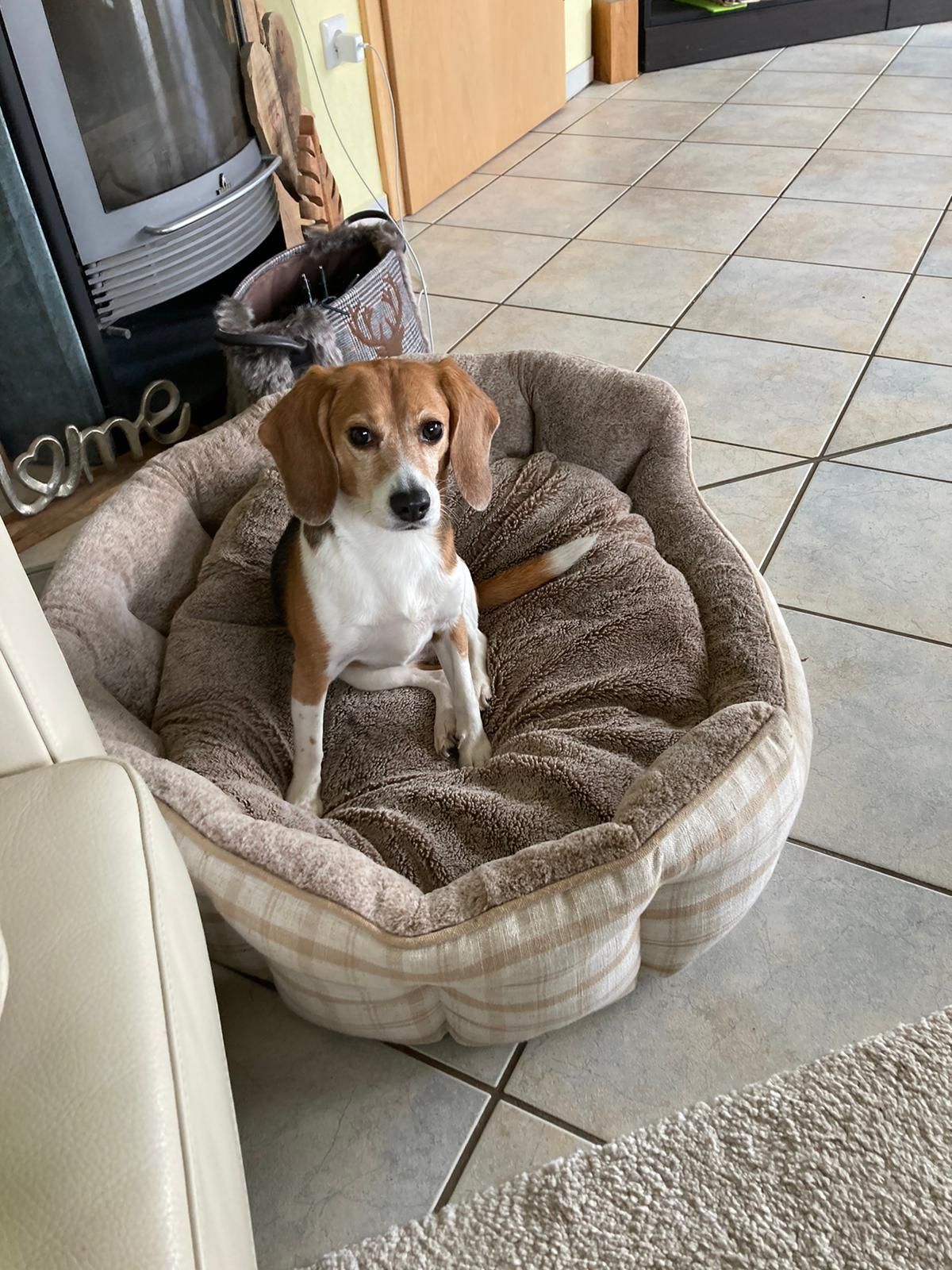 Mia ehem. Myska, Hündin, 10 Jahre