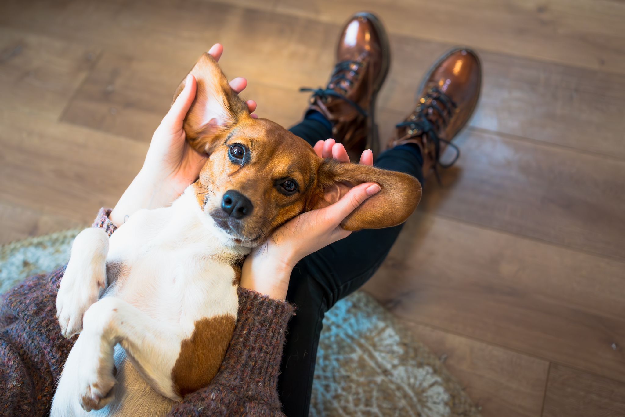 Enya ehem. Ronja , Hündin, 4 Jahre