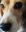 8D739AFD-A123-414D-8267-B95DD2FA56FA.jpeg
