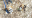 12924408_210795395977776_3246913224327481564_n(2).png