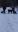 Schnee2.jpg