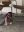 1D313C34-4586-41A0-91AD-4CCCFE02D7F6.jpeg