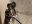 B5E1B59A-E49A-4756-B80D-C66F7AED6F20.jpeg