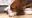 IMG-20190330-WA0007.jpg