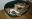 IMG-20170815-WA0014.jpeg