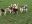 IMG-20171028-WA0008.jpg