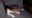 IMG-20171031-WA0003.jpg