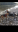 IMG_0972.PNG