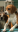 IMG_1038.PNG