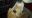 20190125_141643.jpg