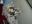IMG-20190303-WA0009.jpeg