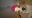 WP_20171214_19_17_58_Pro.jpg