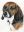 Beagle-Freier-Percy2(1).jpg