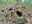 IMG_20181022_152127~2.jpg