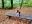 IMG_20181023_160847~2.jpg