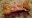 IMG_20181204_222128-2.jpg