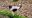 IMG_20181215_154020~3.jpg