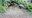 IMG_20190115_151319~2.jpg