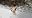 IMG_20190123_150906~2.jpg