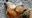 IMG_20190214_163811~2.jpg