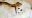 IMG_20190224_212415~2.jpg