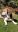 IMG_20200412_134749.jpg