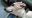 IMG_20200419_1932462.jpg
