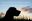 Seelenhund-Trauer-1.jpg