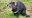 images12.jpeg