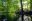 see-im-wald-42ce89c8-4c7f-4940-903c-077b07ef789a2.jpg