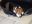 DSCF4355.JPG