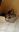 IMG-20170401-WA0005.jpg