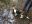 image-2-3-4-5-6-7-8.jpeg