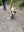 image-2-3-4-5-6-7.jpeg