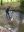 image-2-3-4-5-6.jpeg