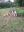 image-2-3-4.jpeg