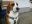 IMG-20170502-WA0034.jpg