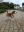 IMG-20170508-WA0011.jpg