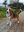 IMG-20170508-WA0015.jpg