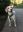 IMG_6929.jpeg