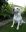 fullsizeoutput_5d11.jpeg