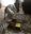 fullsizeoutput_6021.jpeg