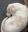 fullsizeoutput_6023.jpeg