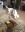 fullsizeoutput_6025.jpeg