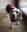 fullsizeoutput_621d.jpeg