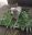 fullsizeoutput_621f.jpeg