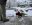 fullsizeoutput_6966.jpeg