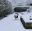 fullsizeoutput_6967.jpeg