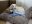 fullsizeoutput_6aa0.jpeg